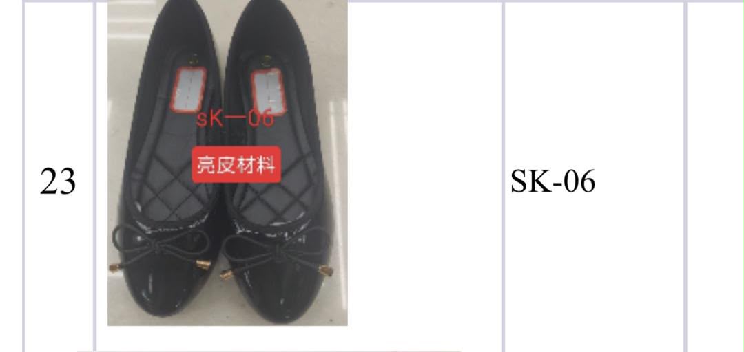 SK-06
